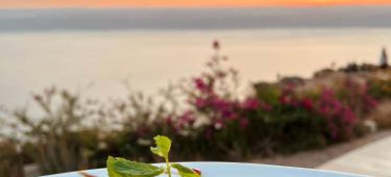 Deadsea Octagon图片