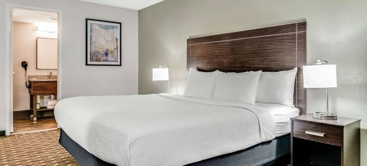 底特律市中心凯艺酒店(Quality Inn Detroit Downtown)图片