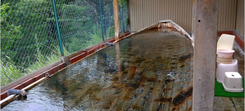 鬼怒川仁王尊广场酒店(Kinugawa Niouson Plaza)图片