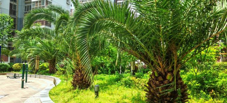 房东BJ公寓(金牛路分店)图片