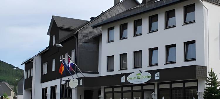 尼德尔斯费德酒店(Hotel Niedersfeld-Winterberg)图片