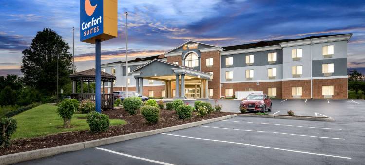 阿宾登岛I-81舒适套房酒店(Comfort Suites Abingdon I-81)图片