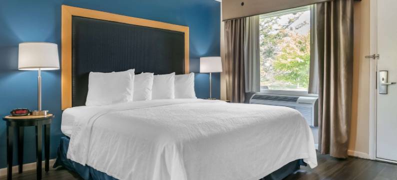 河岸阶地贝斯特韦斯特酒店(Best Western River Terrace)图片