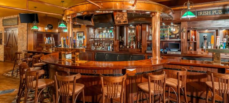 明尼阿波利斯西万豪酒店(Minneapolis Marriott West)图片