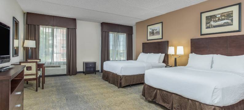 洲际酒店集团路易斯威尔机场假日酒店 - 博览会(Holiday Inn LOUISVILLE AIRPORT - FAIR/EXPO by IHG)图片