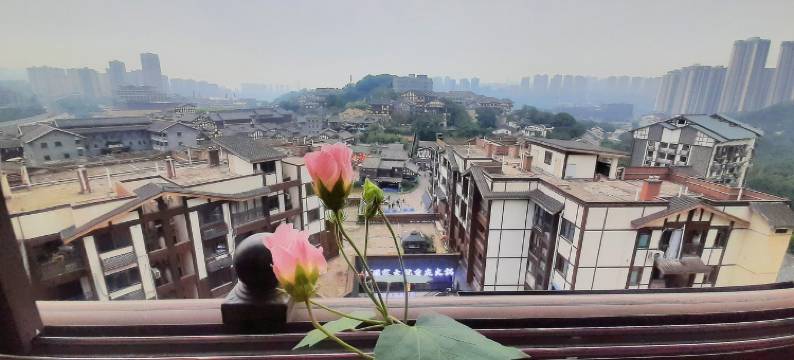 旺财快跑鸭公寓(磁童路1号分店)图片