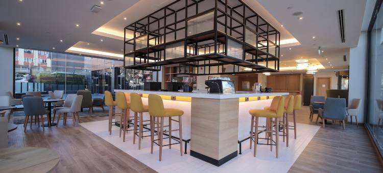 安卡拉希尔顿花园酒店(Hilton Garden Inn  Ankara Cankaya)图片