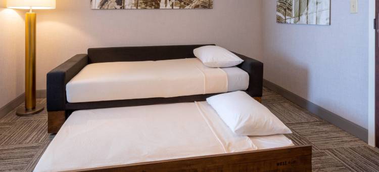 明尼阿波利斯枫林阿伯湖万豪SpringHill Suites酒店(SpringHill Suites Minneapolis Maple Grove/Arbor Lakes)图片