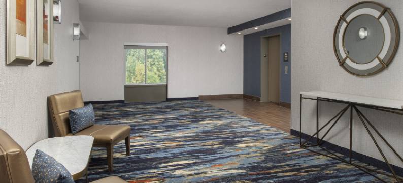 阿尔普哈雷塔欢朋套房酒店(Hampton Inn & Suites Alpharetta)图片