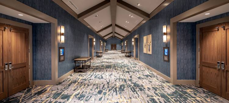 盖洛德洛基斯度假酒店及会议中心(Gaylord Rockies Resort & Convention Center)图片