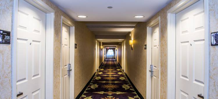 希尔顿欢朋酒店-伊斯顿(Hampton Inn Easton)图片