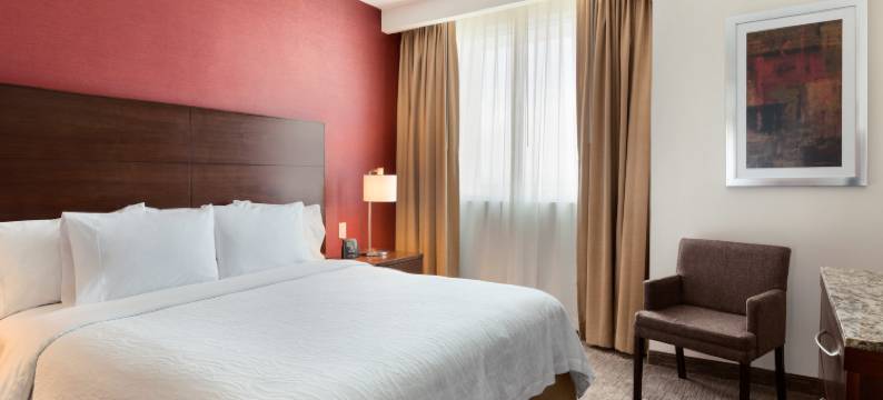 奎雷塔罗希尔顿花园酒店(Hilton Garden Inn Queretaro)图片