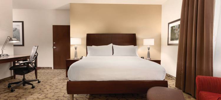 希尔顿花园酒店-罗切斯特市区(Hilton Garden Inn Rochester-Downtown)图片