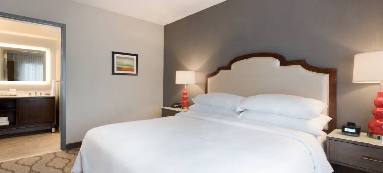 芝加哥内帕维希尔顿安泊酒店(Embassy Suites by Hilton Chicago Naperville)图片
