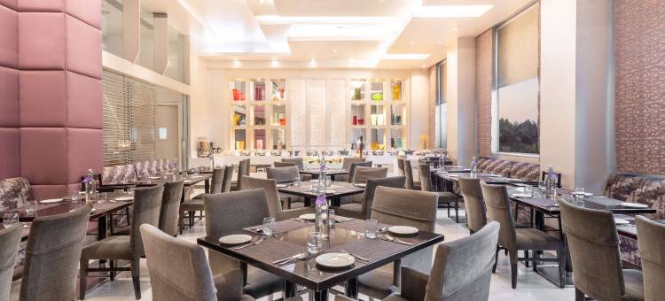 法里达巴德丽亭酒店(Park Plaza Faridabad)图片