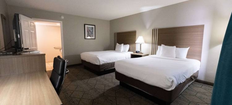 埃芬加姆呗盟套房酒店(Baymont by Wyndham Effingham)图片