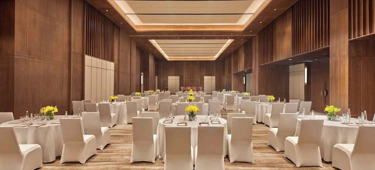 希尔顿古尔冈巴尼市中心(Hilton Gurugram Baani City Centre)图片