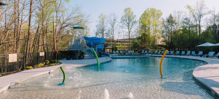 Gatlinburg 希尔顿合博套房酒店(Embassy Suites by Hilton Gatlinburg Resort)图片