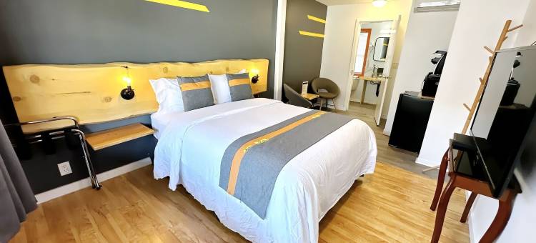 邓肯汽车旅馆(Duncan Motel)图片