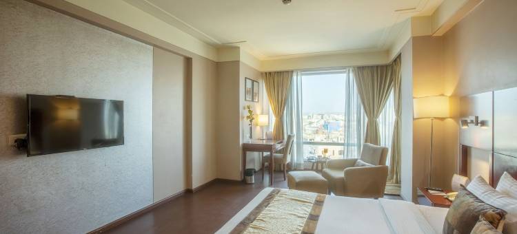 灶神星国际酒店(Vesta International)图片