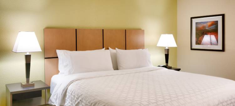 Candlewood Suites 达拉斯普莱诺东理查森(Candlewood Suites Dallas Plano East Richardson)图片