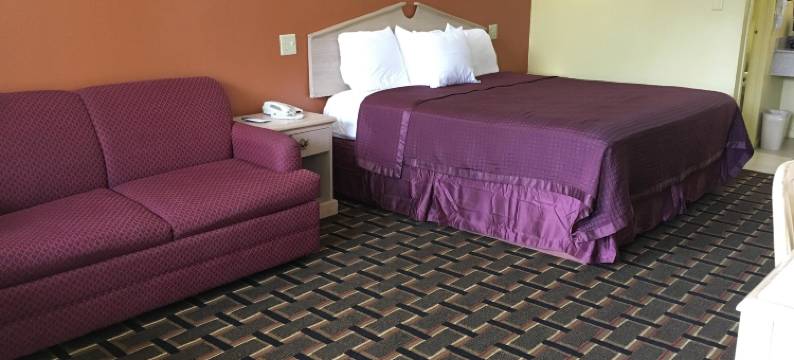 格林维尔美洲最佳价值套房酒店(Americas Best Value Inn and Suites Greenville)图片