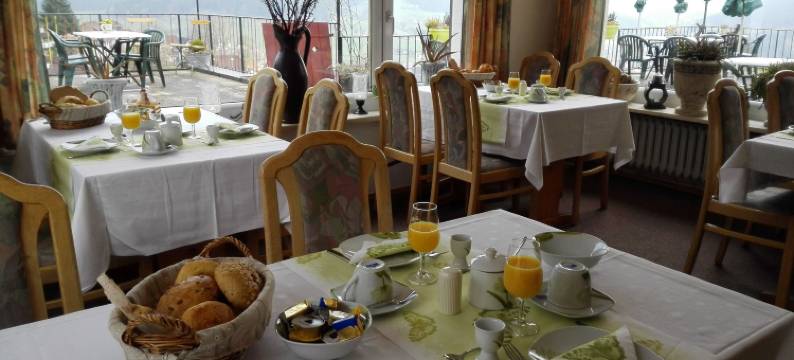 塔尔景膳宿公寓(Gasthaus Talblick - Schwarzwald Plus Karte Inkludiert)图片