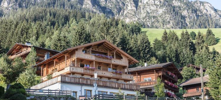 阿尔卑巴赫高级木屋旅馆(Alpbach Lodge Chalet Superior)图片