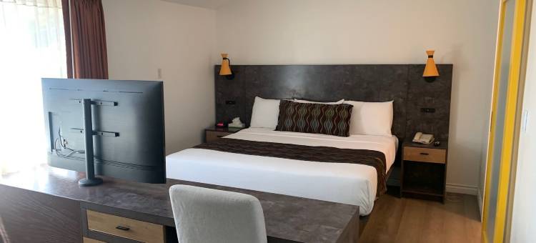 奥赛斯套房酒店(Oasis Inn and Suites)图片