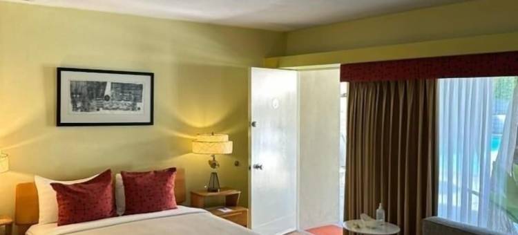 Orbit In - 21岁及以上 - Town & Desert精品酒店(Orbit in - 21 and over - A Town & Desert Boutique Hotel)图片