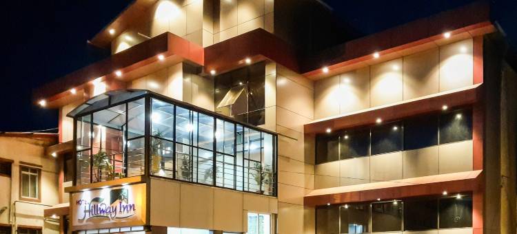 Treebo Hillway Inn 主市场(Treebo Hillway Inn Main Market)图片