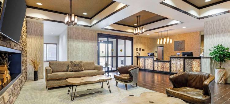 布赖顿丹佛东北医疗中心舒适套房酒店(Comfort Inn & Suites Brighton Denver NE Medical Center)图片