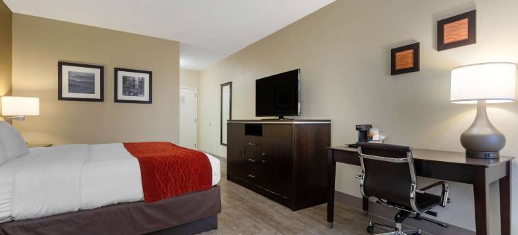 阿什维尔北部舒适酒店(Comfort Inn North of Asheville)图片