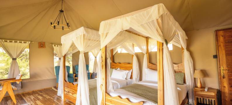 Malaika豪华营地 Seronera Serengeti(Malaika Luxury Camp Seronera Serengeti)图片
