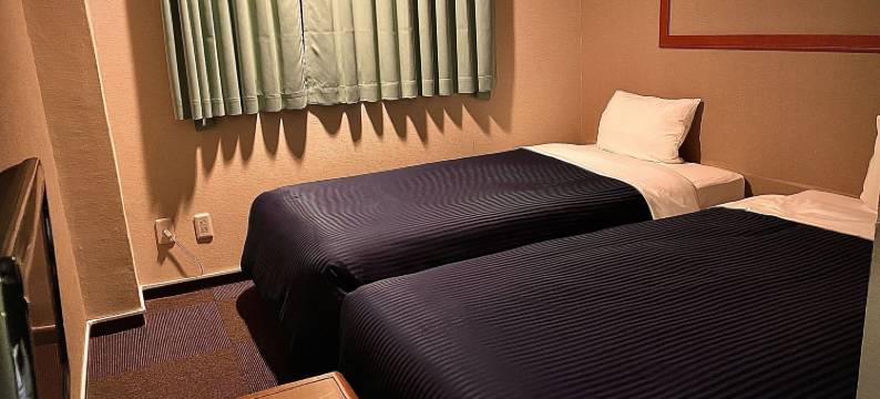 关空未来酒店(HOTEL THE NEXTKANKU)图片