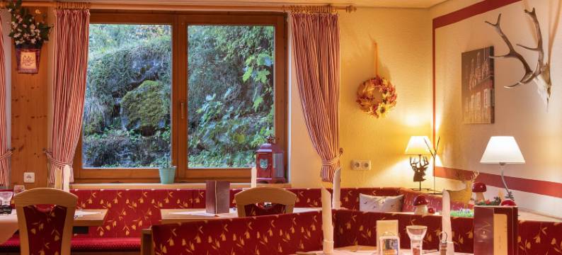 IFA布赖塔赫河克勒恩瓦尔斯尔塔尔公寓(IFA Breitach Apartments Kleinwalsertal)图片