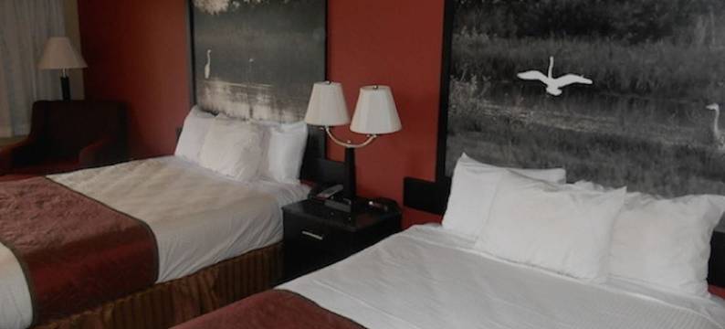 AmeriStay旅馆(AmeriStay Inn St Joseph)图片