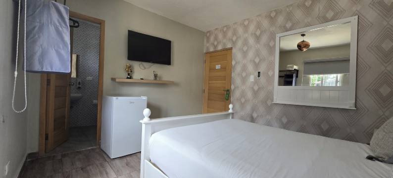 53号精品旅馆(Hostal 53 Boutique Santo Domingo)图片