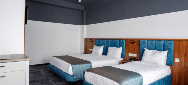 第比利斯地址旅馆(Address Inn Hotel)图片