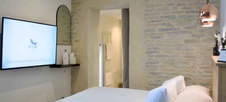 羽毛套房(Plume Suites)图片