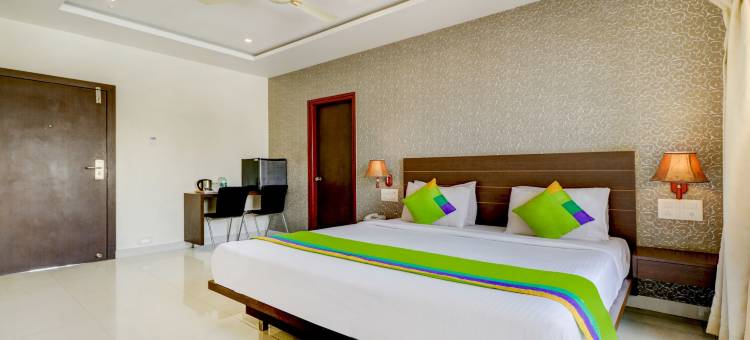 Treebo兰花(Treebo Orchid)图片