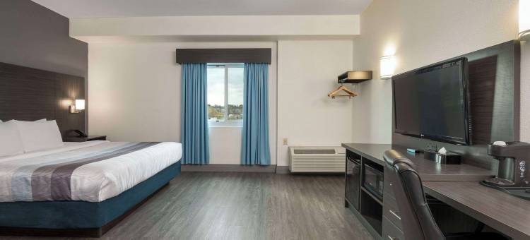 舒适酒店(Comfort Hotel)图片