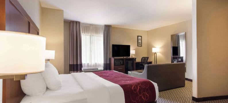 北莫比尔舒适套房酒店(Comfort Suites North Mobile)图片