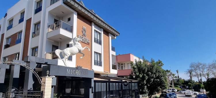 麦克皇家酒店(Microyal Hotel)图片