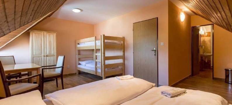 萨托斯科酸橙旅馆(Penzion Šatovské lípy)图片