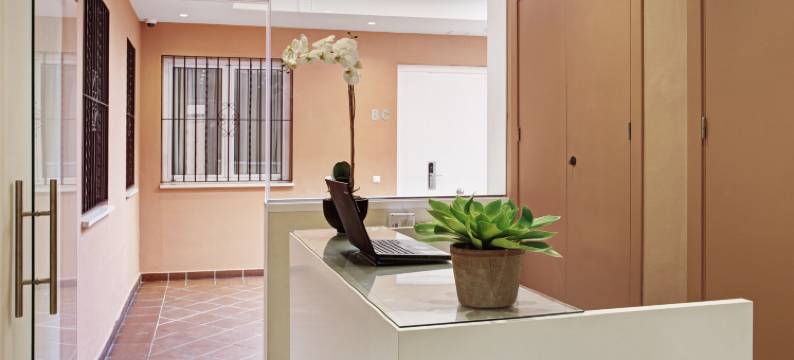 塞维利亚都会公寓酒店(Apartamentos Metrópolis)图片