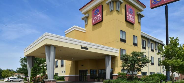 南萨莱纳舒适套房酒店(Comfort Suites Salina South)图片