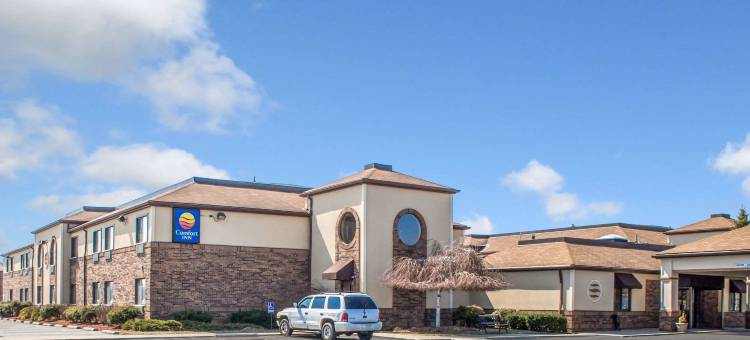 东部舒适酒店(Comfort Inn East)图片