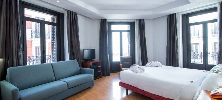 珀蒂宫普雷西亚多斯住宿(Petit Palace Preciados)图片