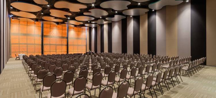 巴西利亚阿尔沃拉达皇家郁金香酒店(Royal Tulip Brasilia Alvorada)图片